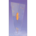Parabel-Schablone, Macrolon transparent, ohne Sinuskurve, 60 cm, 
